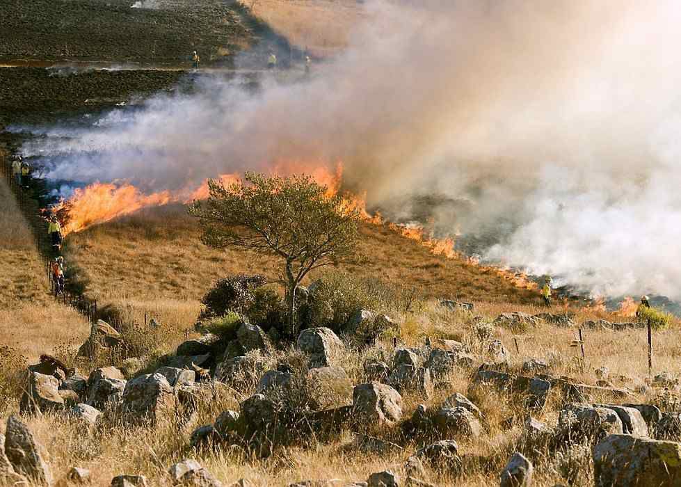 Incendi in Sicilia, Sistema Impresa a sostegno delle aziende colpite